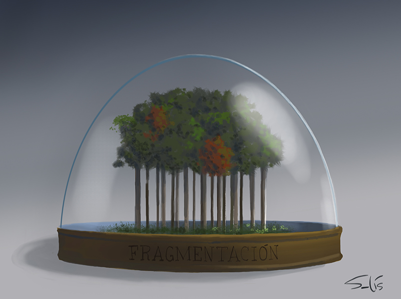Bosques silenciosos. Por () Víctor Solís (@Visoor) desde Ciudad de México en la #ViñetaVerde de @EFEverde