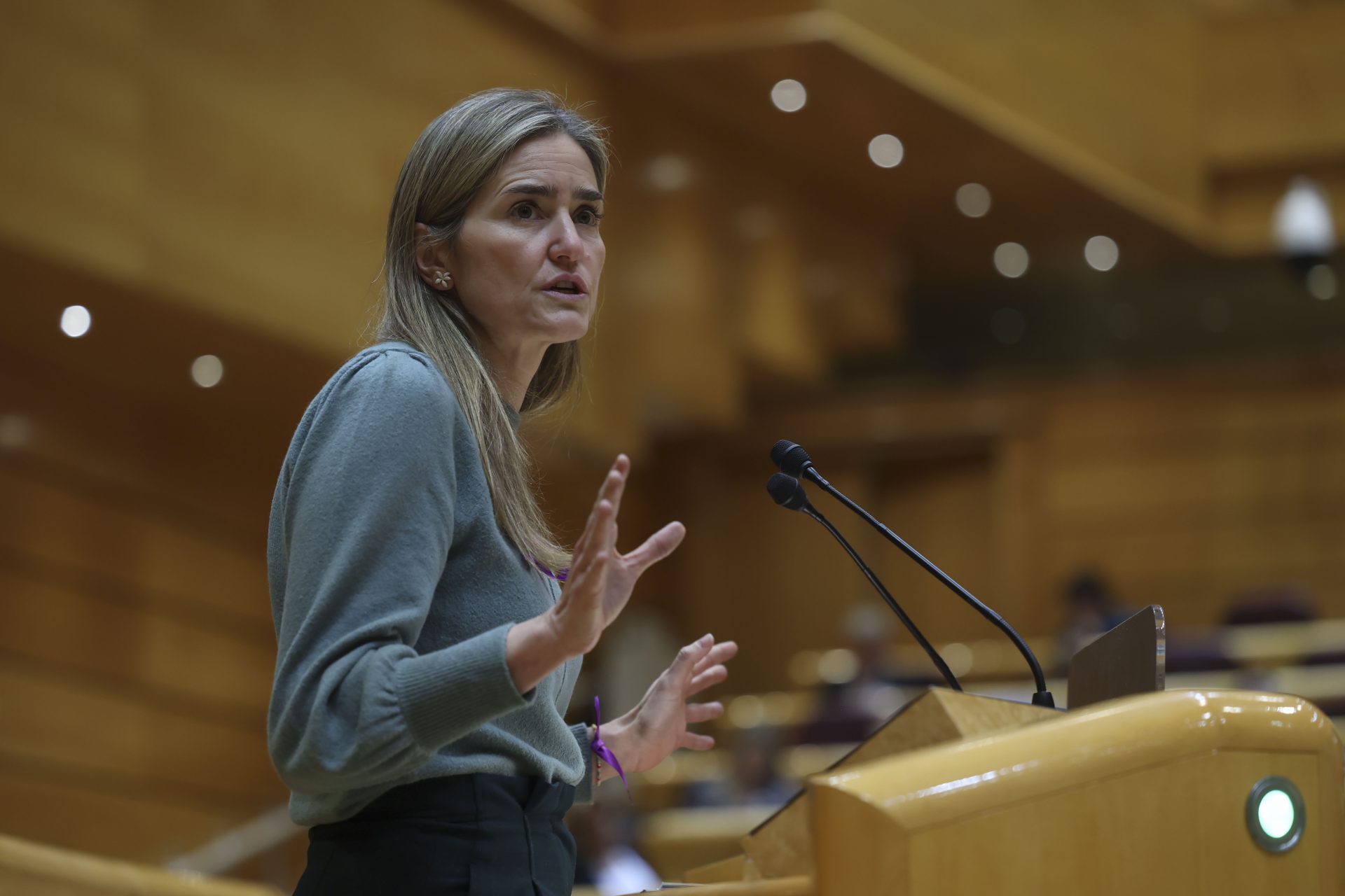 MADRID, 25/11/2025.- La ministra para la Transición Ecológica, Sara Aagesen, interviene durante el Pleno del Senado, que comienza con la sesión control al Gobierno, este martes en Madrid.-EFE/ Kiko Huesca