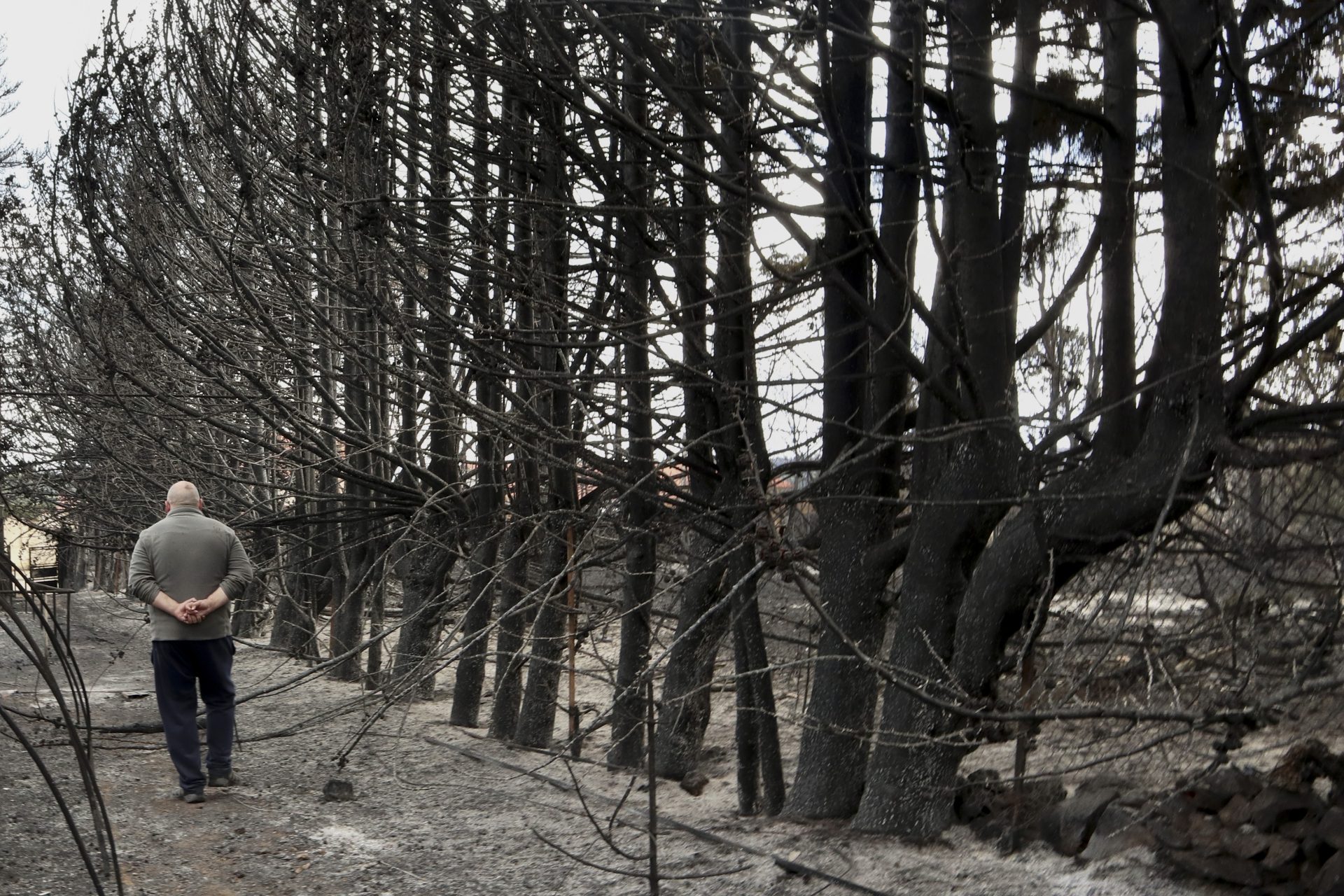 OTERO DE BODAS,ZAMORA.19/06/22.-Vista general de los daños producidos por el incendio en Otero de Bodas (Zamora), en la sierra de la Culebra este domingo.EFE/Mariam A. Montesinos