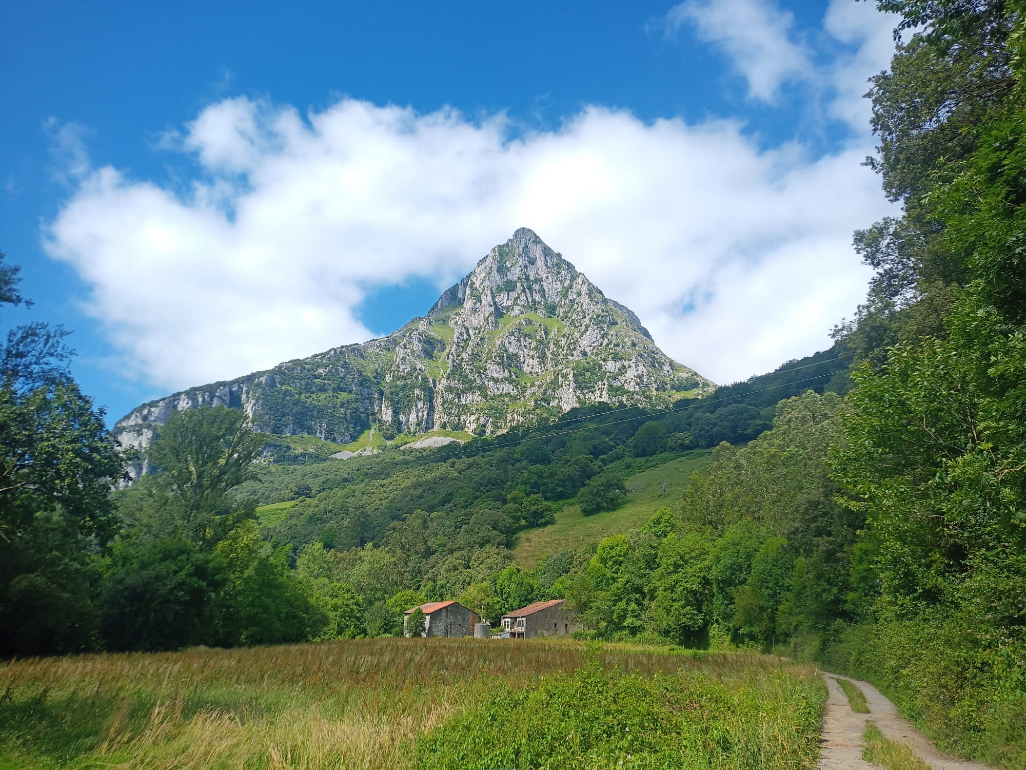 © Fundación Naturaleza y Hombre