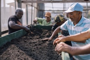 Refugiados voluntarios participan en un proyecto agroecológico en un centro de sostenibilidad en Boa Vista, en el estado de Roraima, en Brasil. © ACNURBenjamin Mast