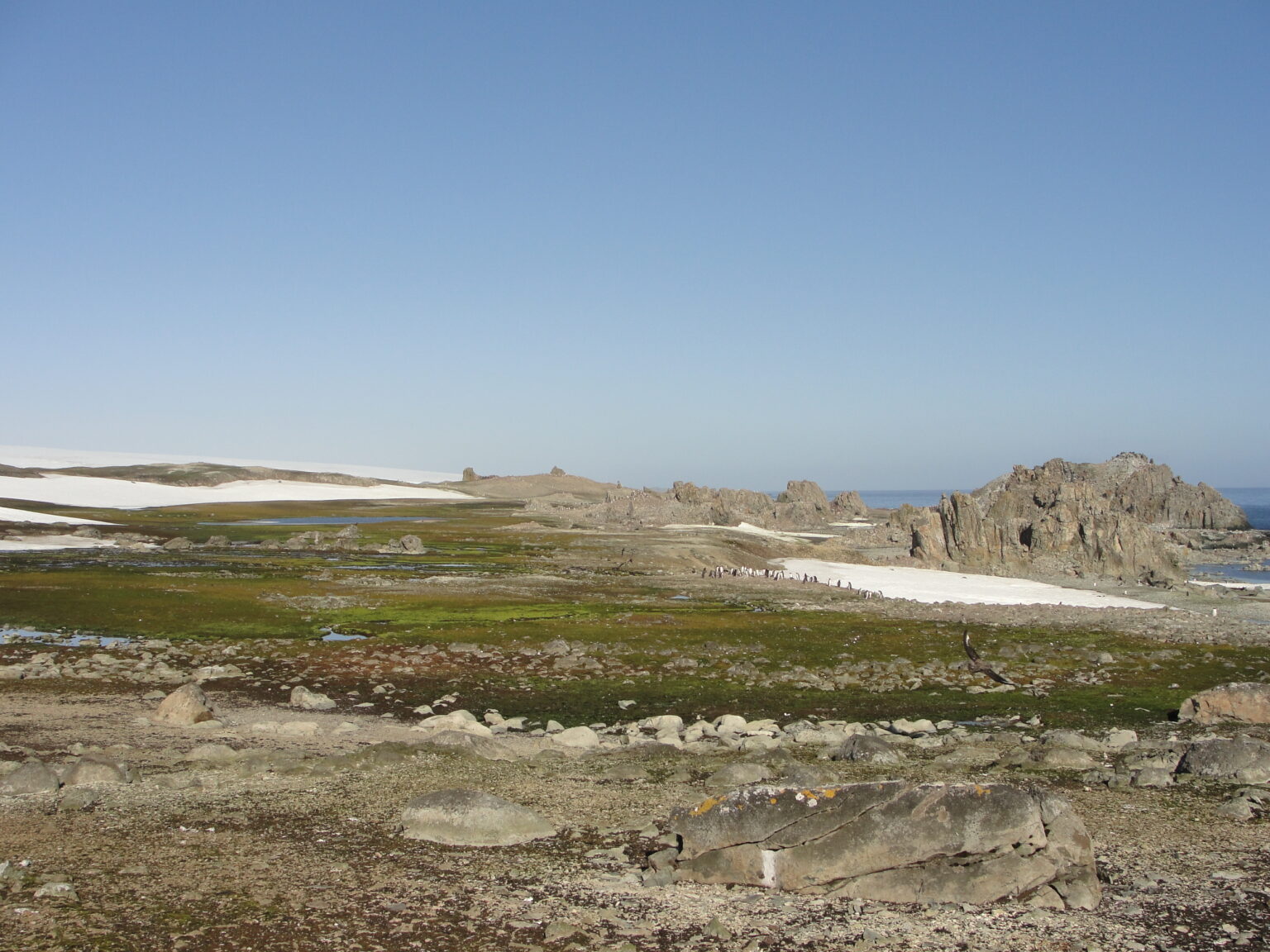 © MapBiomas Antártica