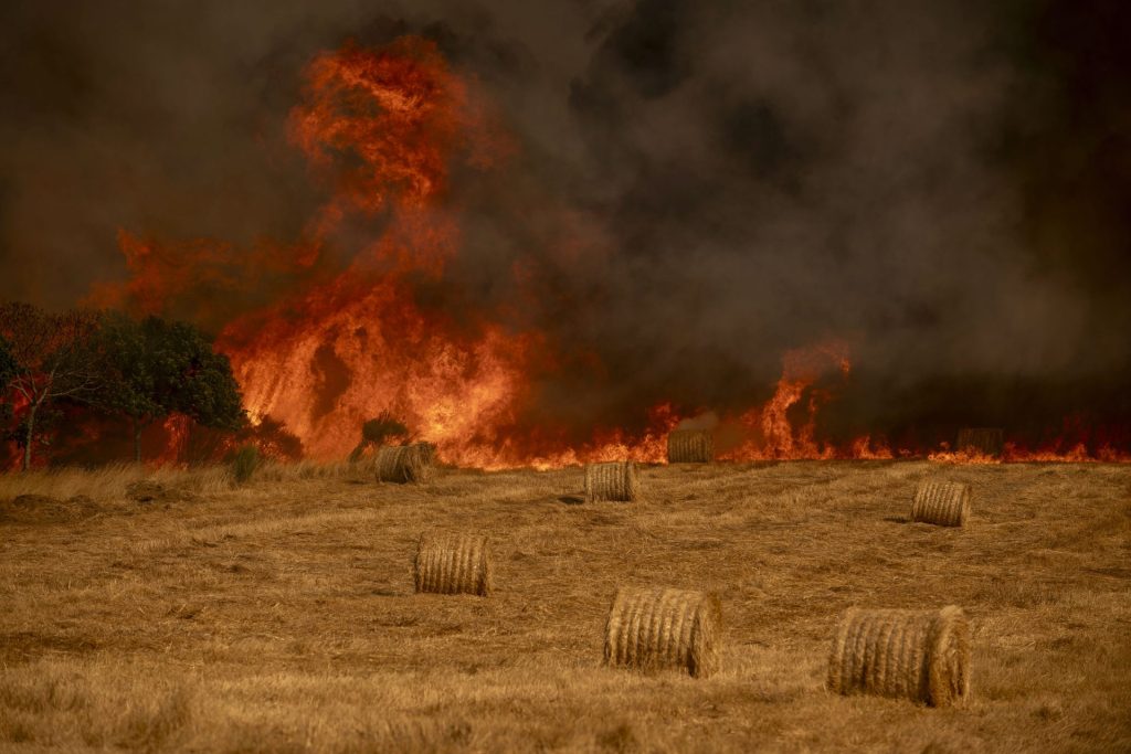 A GUDIÑA (OURENSE), 20/08/2025.- Vista del nuevo incendio declarado este miércoles en A Gudiña (Ourense). EFE / Brais Lorenzo