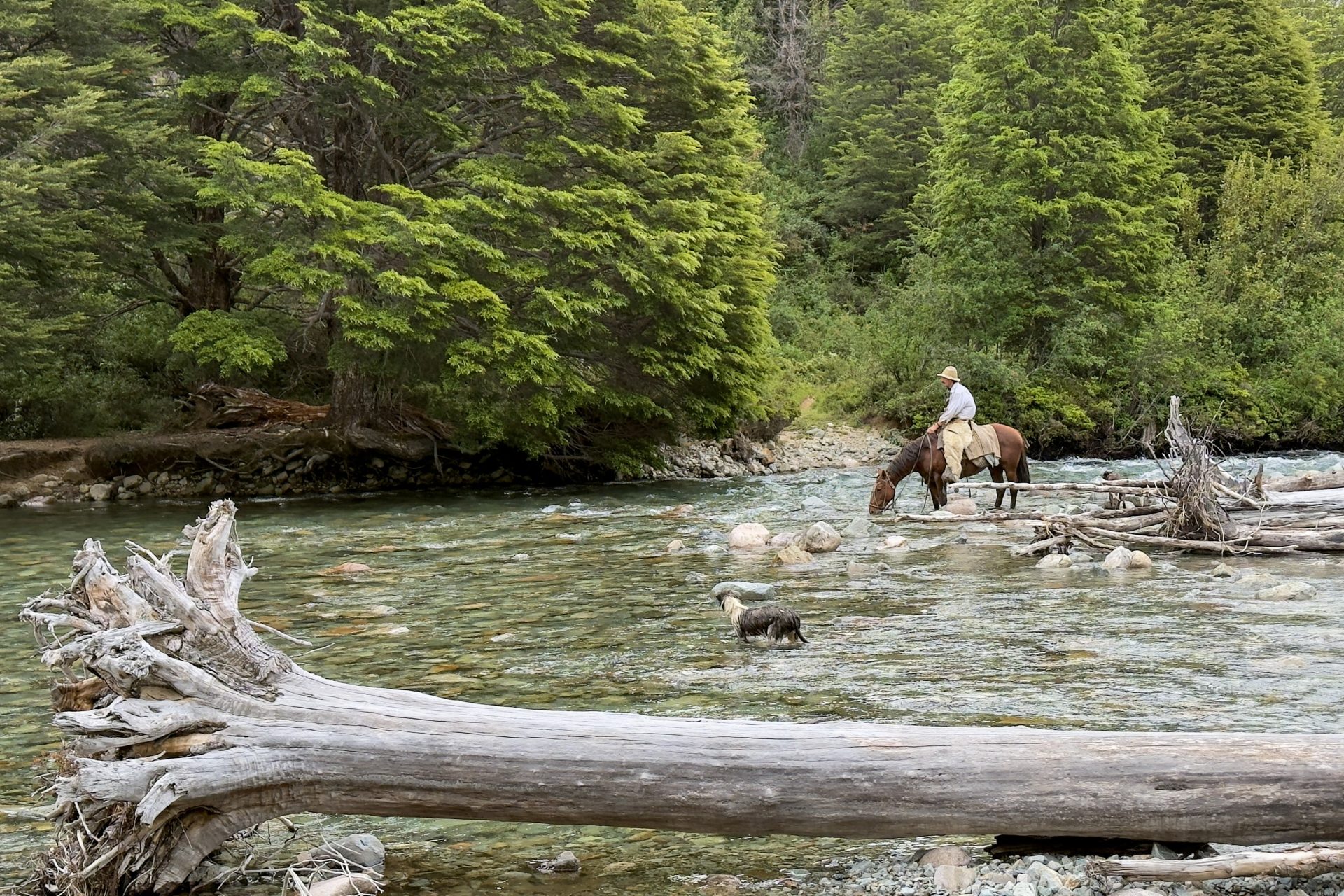 AME8520. PALENA (CHILE), 27/01/2026.- Fotografía cedida por Pew Trusts que muestra a una persona montando a caballo, en Palena (Chile). La comunidad de Palena, en la Patagonia chilena, ha diseñado un modelo de conservación territorial para proteger la naturaleza y a su vez resguardar las prácticas tradicionales de los arrieros patagones, esto, en medio de su propuesta ante el Estado para volver su territorio un área de conservación. EFE/ Pew Trusts /SOLO USO EDITORIAL/ NO VENTAS/ SOLO DISPONIBLE PARA ILUSTRAR LA NOTICIA QUE ACOMPAÑA (CRÉDITO OBLIGATORIO)