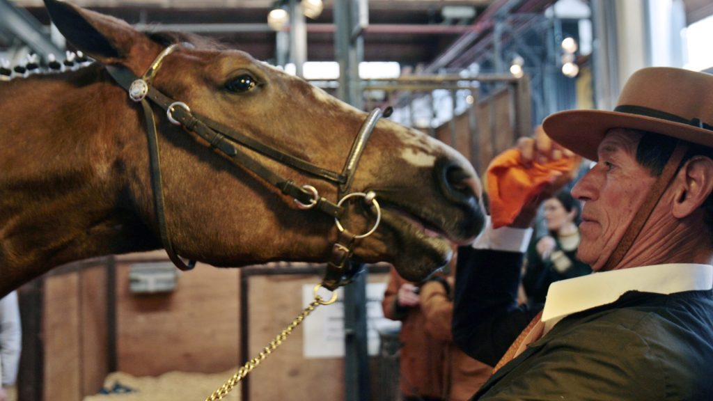 BAS13.BUENOS AIRES (ARGENTINA) 28/07/07.- Un cuidador reacciona ante el relincho de su caballo, hoy 28 de julio de 2007, en la 121º edición de la Exposición de Ganadería, Agricultura e Industria Internacional de Palermo, Buenos Aires. "La Rural" es la feria argentina más importante del sector donde se muestran las novedades en producción ganadera, agrícola y de servicios agropecuarios, albergando a más de 3.800 animales y 460 expositores. EFE/Leo La Valle
