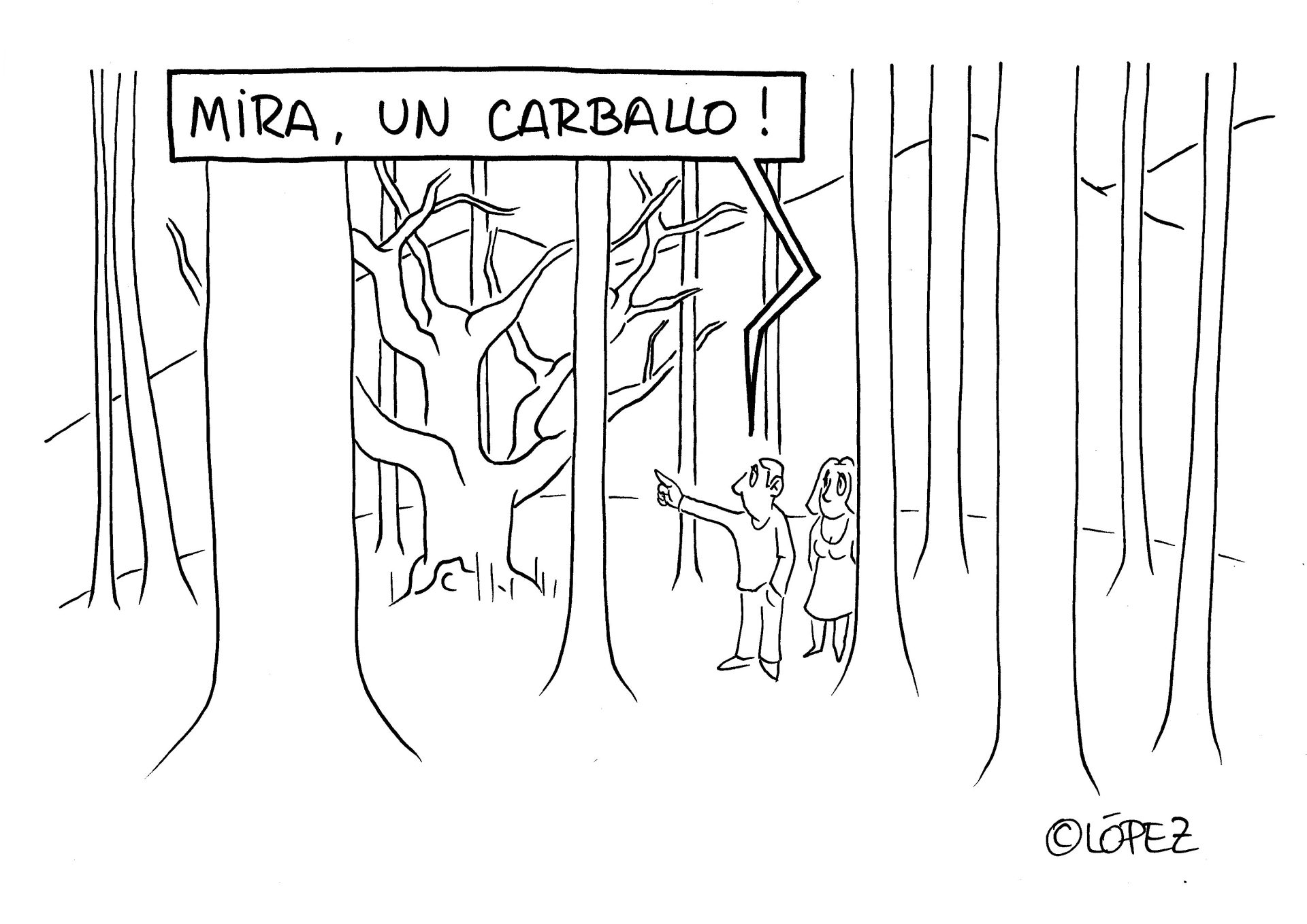 De carballos y eucaliptos.. Viñeta ambiental por Juan López Rico (#López) en la bitácora de humor gráfico ambiental #VivalaBagatela en @efeverde