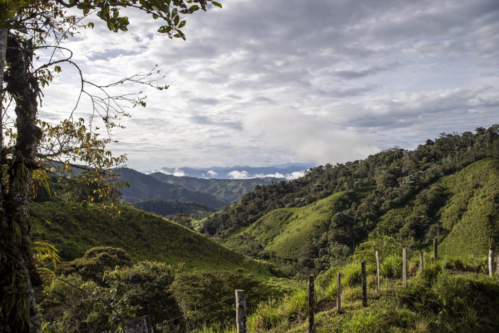 ACOMPAÑA CRÓNICA: ECUADOR NATURALEZA AME3586. JUNIN (ECUADOR), 13/03/2026.- Fotografía que muestra el valle de Íntag el 01 de marzo de 2026 en la provincia de Imbabura, Junin (Ecuador). En la región montañosa de la provincia de Imbabura, en el norte del país, comunidades locales ya alertaron de impactos que la exploración minera ha tenido en ríos, biodiversidad y actividades como la agricultura y el turismo comunitario. EFE/José Jácome