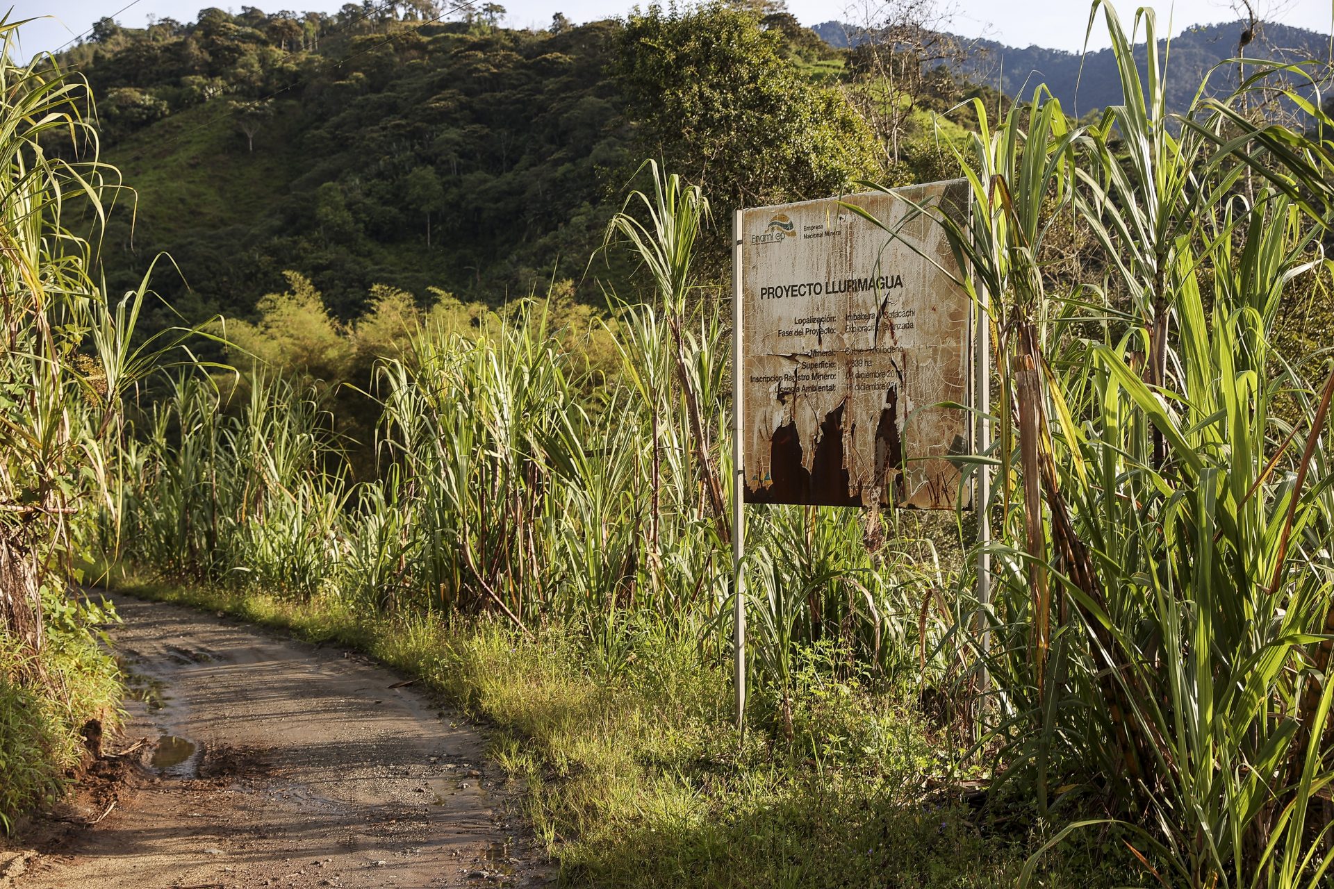 ACOMPAÑA CRÓNICA: ECUADOR NATURALEZA AME3586. JUNIN (ECUADOR), 13/03/2026.- Fotografía que muestra un aviso del proyecto minero Llurimagua en el valle de Íntag el 01 de marzo de 2026 en la provincia de Imbabura, Junin (Ecuador). En la región montañosa de la provincia de Imbabura, en el norte del país, comunidades locales ya alertaron de impactos que la exploración minera ha tenido en ríos, biodiversidad y actividades como la agricultura y el turismo comunitario. EFE/José Jácome 