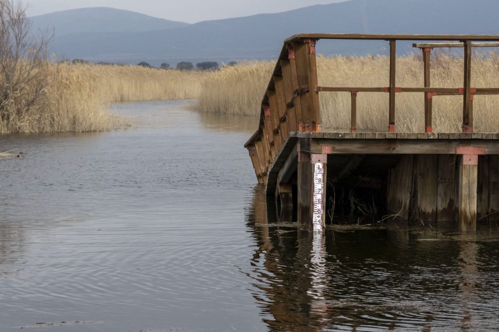 DAIMIEL (CIUDAD REAL), 04/03/2026.- El Parque Nacional de Las Tablas de Daimiel alcanza actualmente en torno a 1.000 hectáreas inundadas, lo que supone cerca del 58 % de la superficie de las 1.750 hectáreas que son suceptibles de ser inundadas, y podría igualar antes del viernes el máximo de lámina de agua registrado el pasado año que llegó a ser de 1.100 hectáreas. EFE/Jesús Monroy