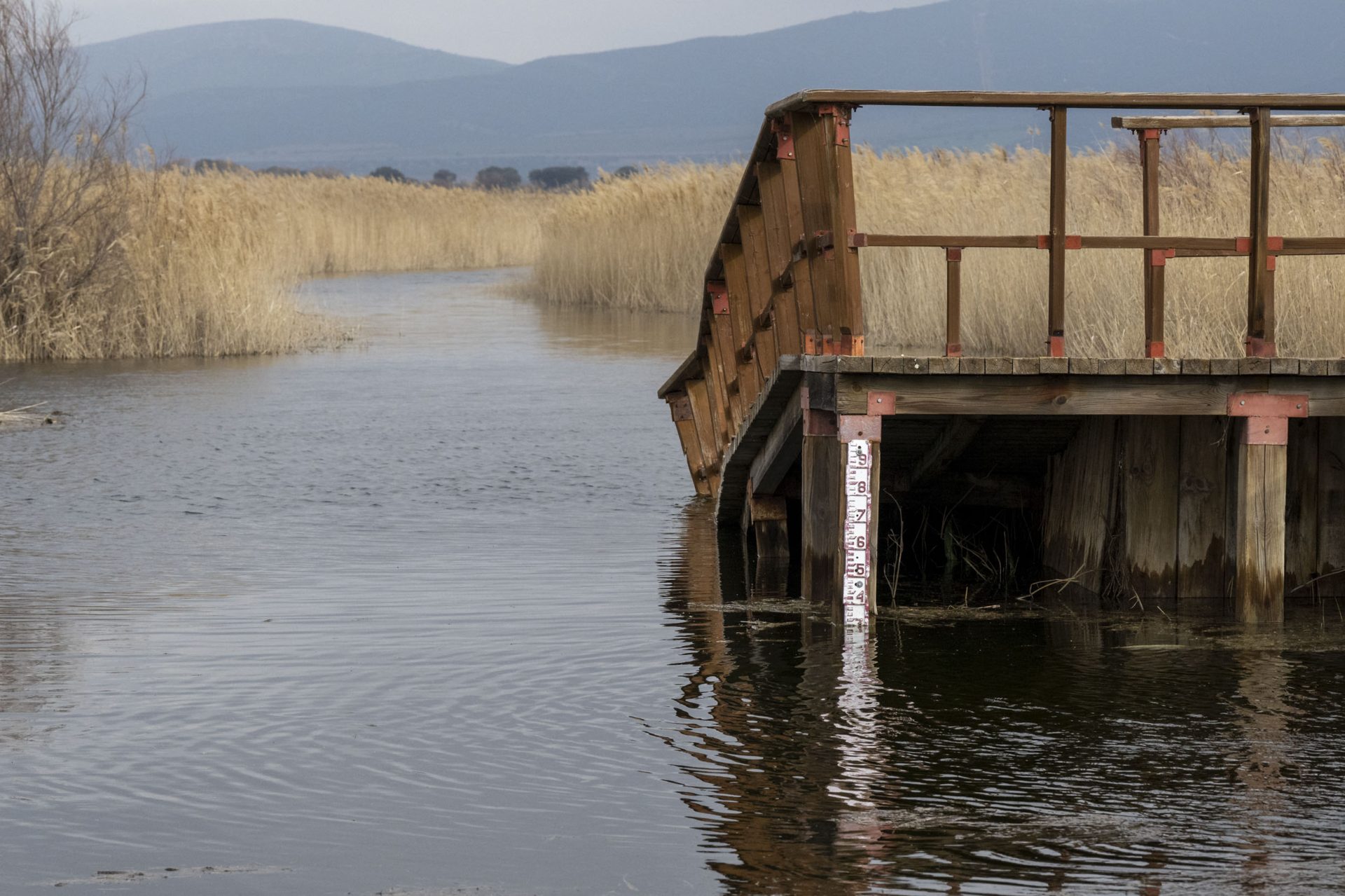 DAIMIEL (CIUDAD REAL), 04/03/2026.- El Parque Nacional de Las Tablas de Daimiel alcanza actualmente en torno a 1.000 hectáreas inundadas, lo que supone cerca del 58 % de la superficie de las 1.750 hectáreas que son suceptibles de ser inundadas, y podría igualar antes del viernes el máximo de lámina de agua registrado el pasado año que llegó a ser de 1.100 hectáreas. EFE/Jesús Monroy