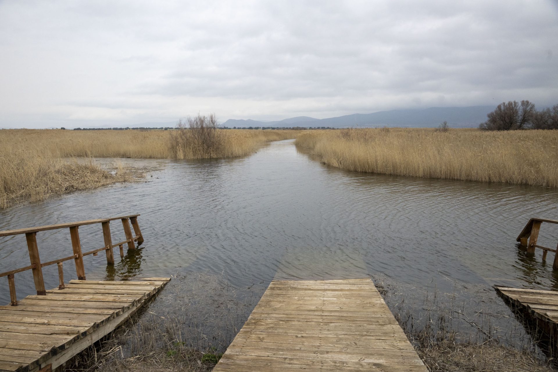 DAIMIEL (CIUDAD REAL), 04/03/2026.- El Parque Nacional de Las Tablas de Daimiel alcanza actualmente en torno a 1.000 hectáreas inundadas, lo que supone cerca del 58 % de la superficie de las 1.750 hectáreas que son suceptibles de ser inundadas, y podría igualar antes del viernes el máximo de lámina de agua registrado el pasado año que llegó a ser de 1.100 hectáreas. EFE/Jesús Monroy