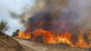 GRAF7864. LORNÍS (LUGO), 19/09/2025.- Vista del nuevo incendio forestal que comenzó en el Cañón del Sil y obligó a cortar la vía del tren entre Ourense y Monforte preocupa por la cercanía de las llamas a casas, sobre todo en San Cosmede y Lornís (en la imagen). EFE/Josetxu Ortiz