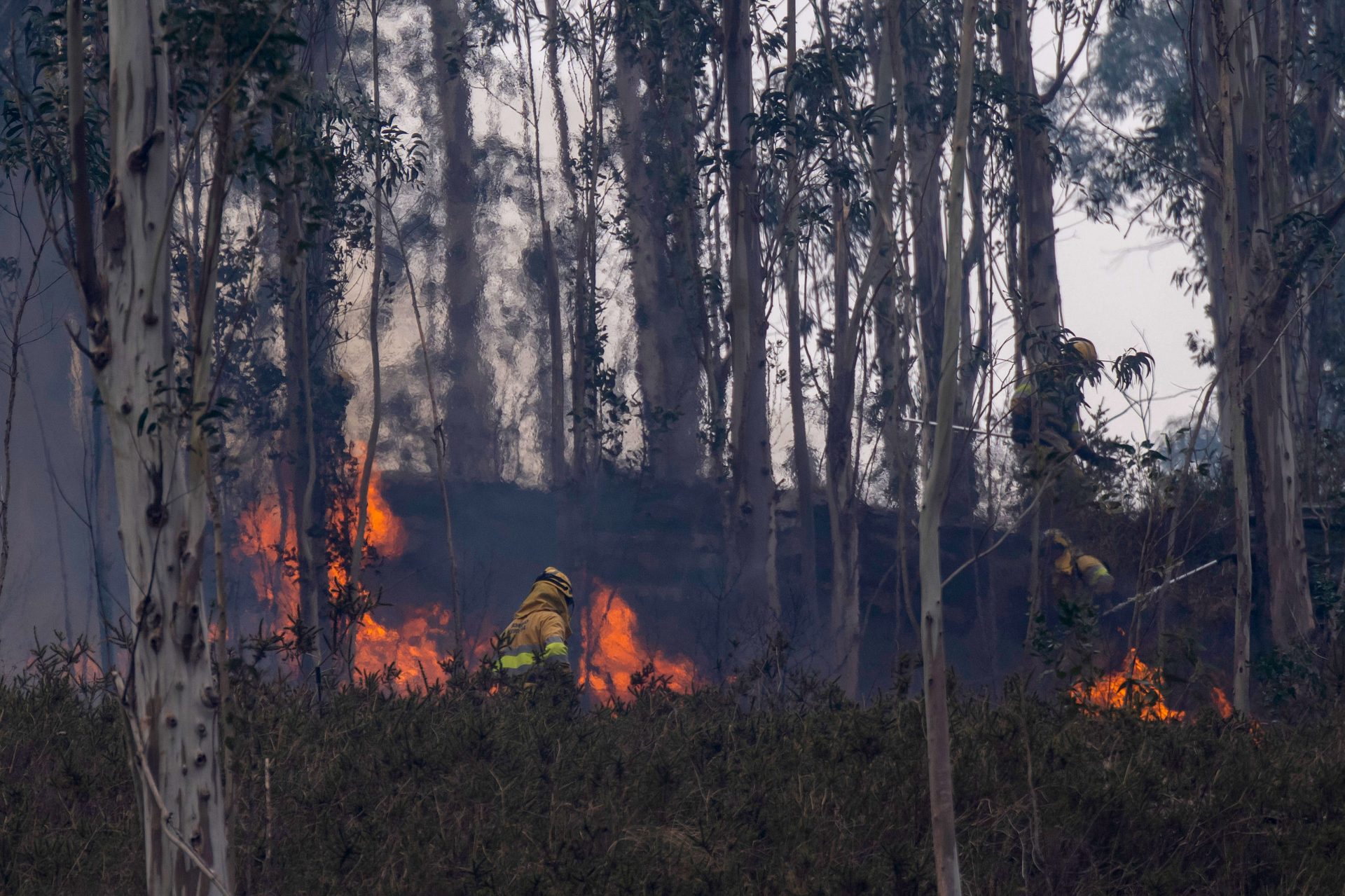 SELAYA (CANTABRIA), 27/02/2026.- Agentes del Medio Natural y Bomberos Forestales del Gobierno de Cantabria, trabajan, este viernes, en la extinción de un incendio declarado en los montes próximos a la localidad cántabra de Selaya. /EFE/Pedro Puente Hoyos