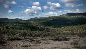 ANDALUCÍA. JA02. JAÉN 10/04/2012.-Lugar donde se disputó la batalla de Las Navas de Tolosa, en el Parque Natural de Despeñaperros (Jaén), que cumple 800 años, por lo que se celebra en la Universidad de Jaén, el Congreso Internacional "Miradas Cruzadas. 1212-2012 Las Navas de Tolosa" EFE/José Manuel Pedrosa