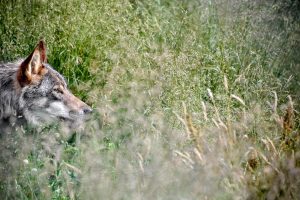 Archivo/EFE/EPA/SASCHA STEINBACH