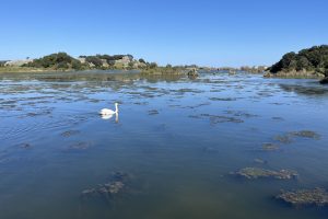 ARNUERO (CANTABRIA), 24/03/2026.- Casa de las Mareas de Soano (Arnuero) sobre la marisma de Joyel, uno de los principales humedales de Cantabria en riqueza de aves acuáticas. Las poblaciones de flamenco procedentes del Mediterráneo que antaño visitaban ocasionalmente los humedales de Cantabria, sobre todo en temporada estival, ya se han convertido en residentes habituales durante todas las estaciones del año debido a los cambios de temperatura. EFE/Miguel Ramos