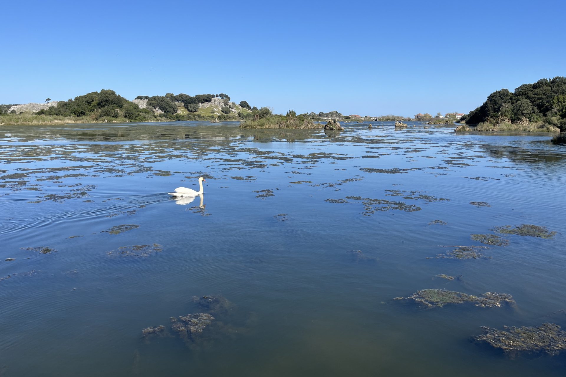 ARNUERO (CANTABRIA), 24/03/2026.- Casa de las Mareas de Soano (Arnuero) sobre la marisma de Joyel, uno de los principales humedales de Cantabria en riqueza de aves acuáticas. Las poblaciones de flamenco procedentes del Mediterráneo que antaño visitaban ocasionalmente los humedales de Cantabria, sobre todo en temporada estival, ya se han convertido en residentes habituales durante todas las estaciones del año debido a los cambios de temperatura. EFE/Miguel Ramos