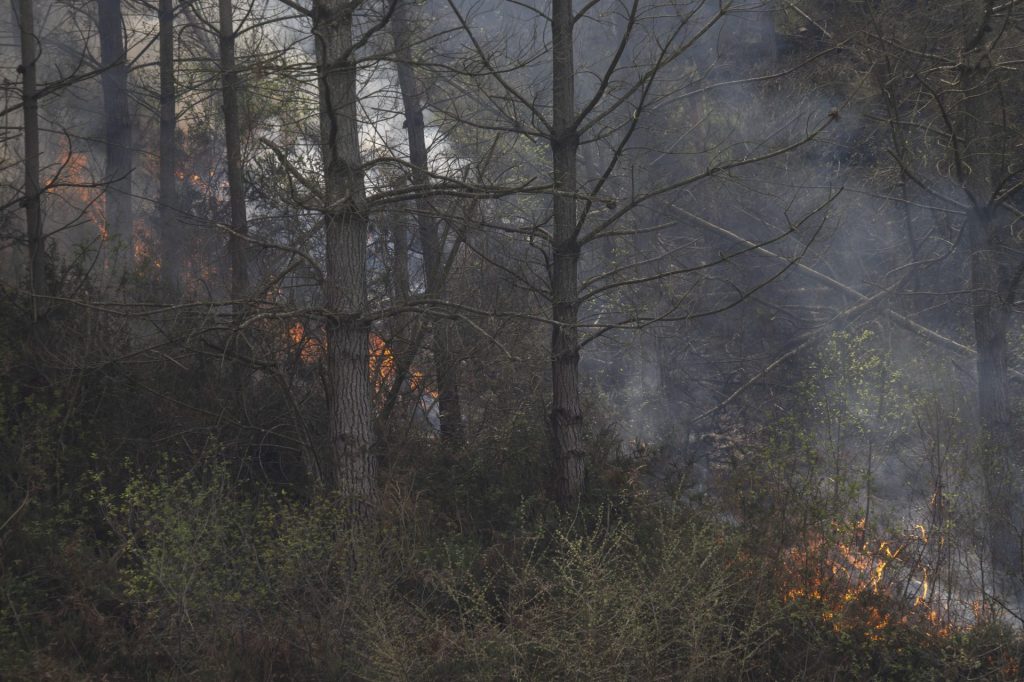 RIONANSA (CANTABRIA), 07/04/2026.- Vista de un incendio forestal este martes, en la localidad cántabra de Rionansa. Cantabria registra en la mañana de este martes 23 incendios activos, uno de los cuales ha obligado a cortar la conexión ferroviaria con la Meseta, con lo que la situación sigue siendo complicada ante las previsiones de riesgo extremo de fuego. EFE/ Pedro Puente Hoyos