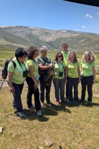 SIERRA DE GREDOS (ÁVILA), 29/05/2026.- La reintroducción del quebrantahuesos en la Sierra de Gredos, en la provincia de Ávila, sigue avanzando desde que en 2022 llegaron los dos primeros ejemplares, de nombre Risco y Galana, con la recepción este viernes de otras tres aves, que elevan a una docena el número de individuos cedidos por el Gobierno de Aragón que repueblan la sierra abulense. EFE/Fundación para la Conservación del Quebrantahuesos SOLO USO EDITORIAL/SOLO DISPONIBLE PARA ILUSTRAR LA NOTICIA QUE ACOMPAÑA (CRÉDITO OBLIGATORIO)