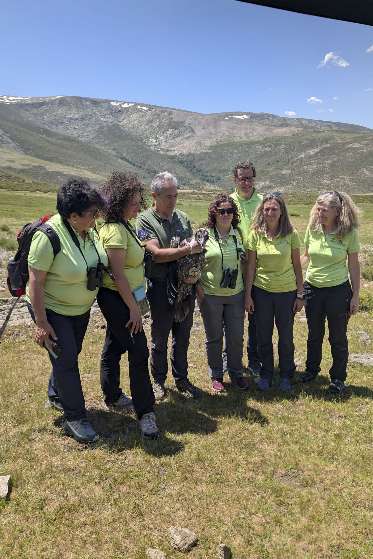 SIERRA DE GREDOS (ÁVILA), 29/05/2026.- La reintroducción del quebrantahuesos en la Sierra de Gredos, en la provincia de Ávila, sigue avanzando desde que en 2022 llegaron los dos primeros ejemplares, de nombre Risco y Galana, con la recepción este viernes de otras tres aves, que elevan a una docena el número de individuos cedidos por el Gobierno de Aragón que repueblan la sierra abulense. EFE/Fundación para la Conservación del Quebrantahuesos SOLO USO EDITORIAL/SOLO DISPONIBLE PARA ILUSTRAR LA NOTICIA QUE ACOMPAÑA (CRÉDITO OBLIGATORIO)