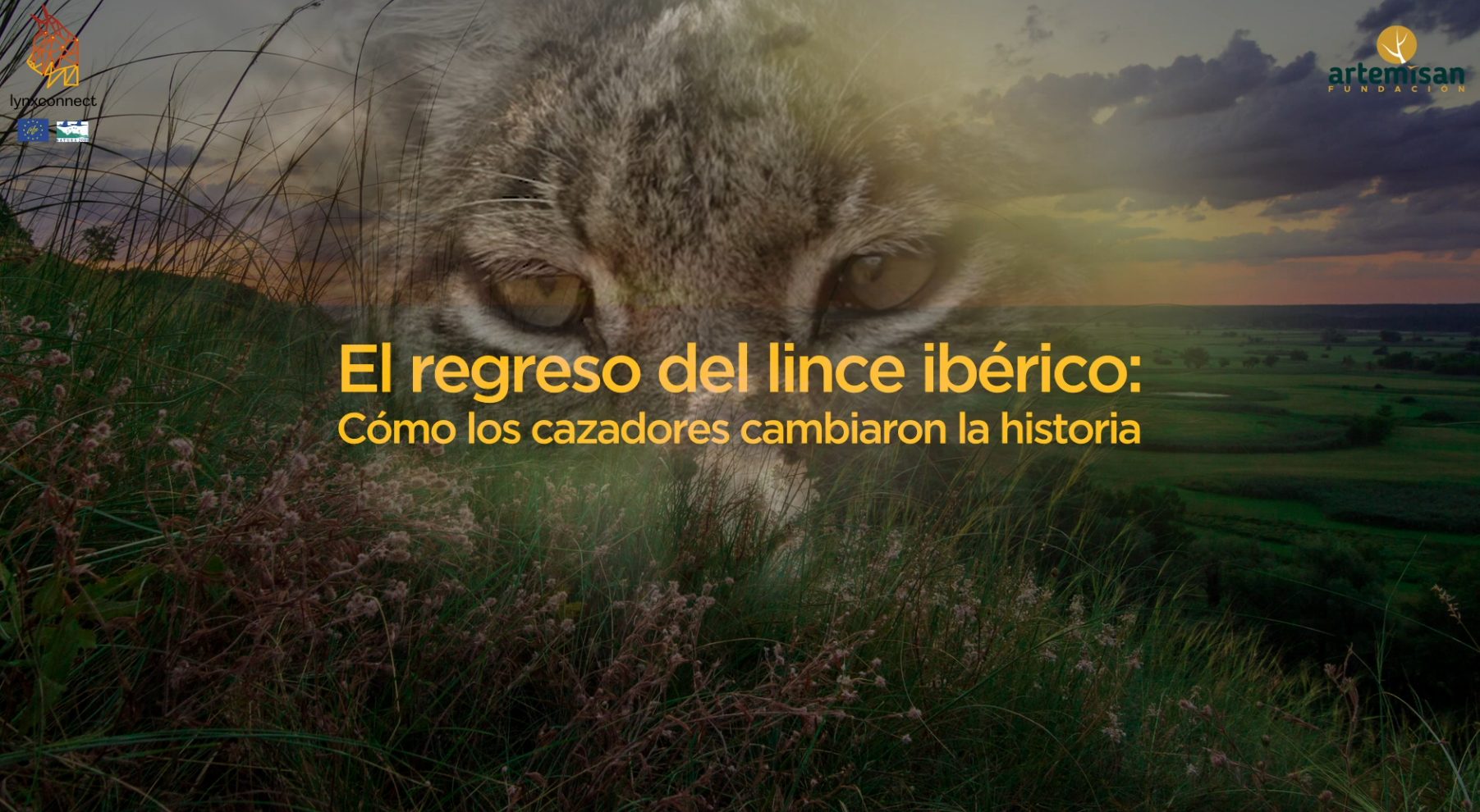 Captura de documental 'El regreso del lince ibérico: cómo los cazadores cambiaron la historia'. © Fundación Artemisan