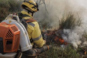 En la imagen de archivo, un bombero forestal del Instituto Chico Mendes de Conservación de la Biodiversidad (ICMBio) durante una quema controlada en un área de pastizales en Parauapebas (Brasil). EFE/Isaac Fontana