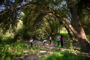 Grupo de voluntarios recogiendo residuos y basura en un entorno natural boscoso durante la campaña 1m2 contra la basuraleza.