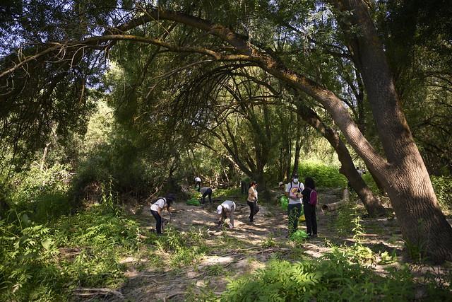 Grupo de voluntarios recogiendo residuos y basura en un entorno natural boscoso durante la campaña 1m2 contra la basuraleza.