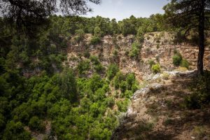 Más de un millón de hectáreas de superficie forestal española cuentan con certificación FCS, sello internacional que garantiza que la madera, el papel y otros productos forestales provienen de bosques gestionados de manera sostenible y con garantía de trazabilidad. Fotografía facilitada por Forest Stewardship Council. EFE