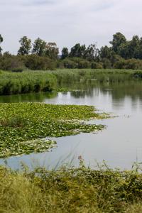 - Foto 1: PALOS DE LA FRONTERA (HUELVA)- Recuperar la funcionalidad hídrica y potenciar la biodiversidad de la Laguna de Las Madres, un enclave de casi 60 hectáreas ubicado entre Moguer y Palos de la Frontera (Huelva), es el objetivo que persiguen la Consejería de Sostenibilidad y Medio Ambiente de la Junta de Andalucía y la Fundación Moeve. EFE/Alberto Díaz