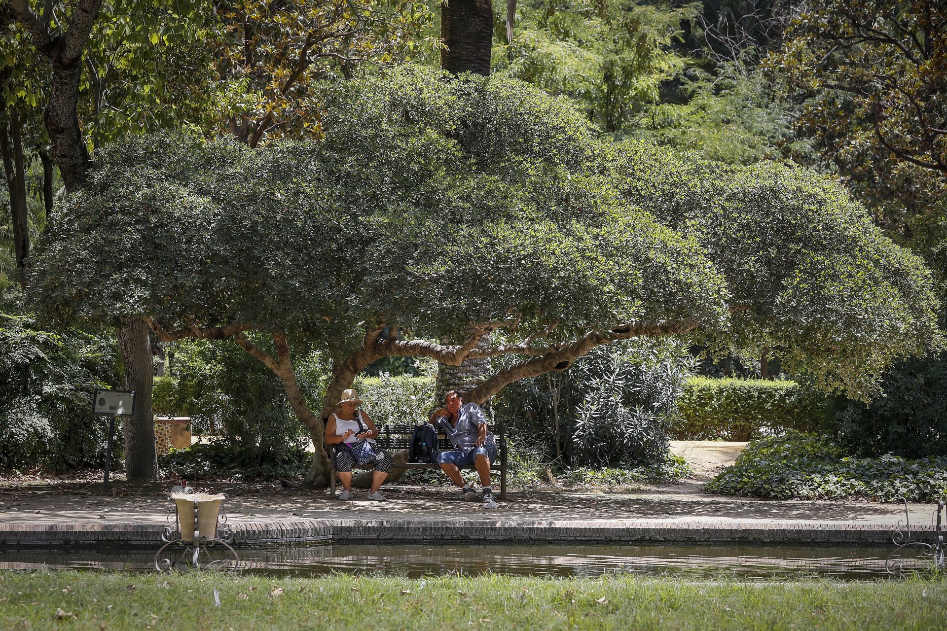 SEVILLA, 25/06/2023.- Una pareja de personas mayores se refugian bajo una sombre en el parque de María Luisa en plena ola de calor en Sevilla este domingo. El aumento de temperaturas este fin de semana inicia el primer episodio de ola de calor del verano, que llega oficialmente este domingo y se dará por finalizado el jueves, con máximas en ascenso en prácticamente en toda España y que se espera sobrepasen los 42 ºC en zonas del cuadrante suroeste. EFE/ José Manuel Vidal