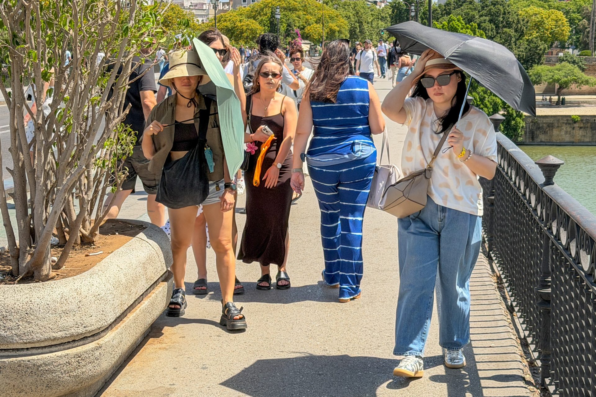 SEVILLA, 13/06/2026.- Varias personas se protegen del sol con paraguas, este sábado en Sevilla. La influencia de un potente anticiclón sobre España deja este sábado un total de 23 capitales de provincia que superarán los 32 grados en una jornada marcada por el calor, con máximas de hasta 39 grados en Badajoz y valores de 37 grados en Cáceres, Córdoba y Logroño, según datos de temperaturas de la agencia de Meteorología (Aemet). EFE/David Arjona