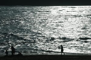 Imagen de la costa vizcaína, en la reserva de la Biosfera de Urdaibai. J.J. Guillén