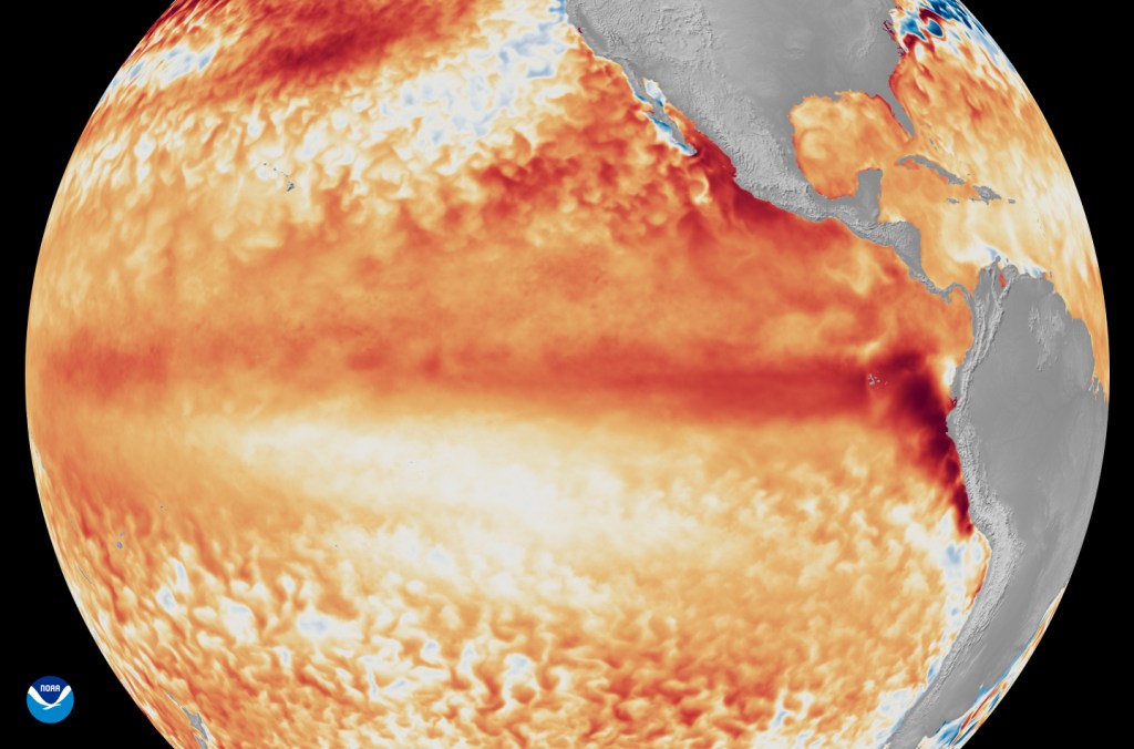 Imágenes de satélite que muestran la diferencia con respecto a las temperaturas medias de la superficie del mar en el ecuador, en el océano Pacífico tropical (representadas mediante distintos tonos de rojo y naranja que indican el calor), durante la primera semana de junio de 2026, en comparación con la referencia utilizada por el programa Coral Reef Watch de la NOAA. (Crédito de la imagen: Satélites de la NOAA)