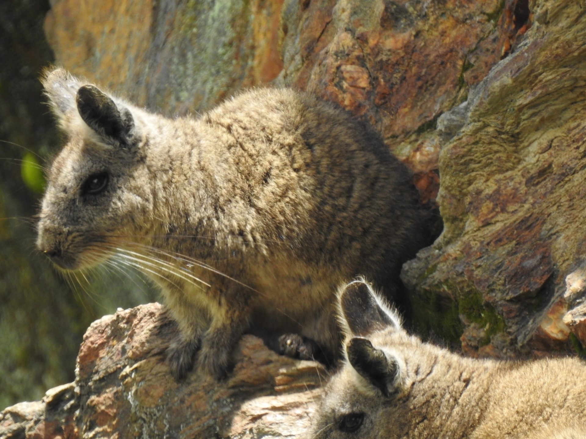 AME9130-ECUADOR-BIODIVERSIDAD.jpg