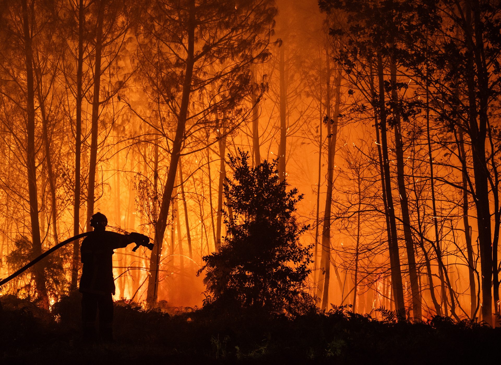Ares (France), 26/07/2026.- A handout photo made available by SDIS33 (Gironde Departmental Fire and Rescue Service) shows a firefighting crew being deployed to battle a wildfire spreading in Ares, south-western France, late 25 July 2026 (issued 26 July 2026). (incendio forestal, Francia) EFE/EPA/DAMIEN REMBERT / HANDOUT HANDOUT EDITORIAL USE ONLY/NO SALES