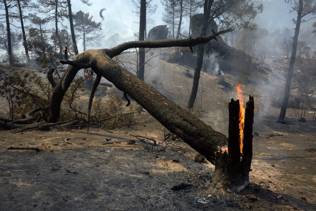 BURGOHONDO (ÁVILA), 25/07/2026.- Zonas quemadas en los alrededores de el embalse de El Burguillo por el incendio que se originó en Burgohondo (Ávila). El incendio que se mantiene activo en la provincia de Ávila ha quemado entre 13.000 y 15.000 hectáreas, según los últimos datos facilitados este sábado por fuentes del Ministerio del Interior. La cantidad de personas evacuadas como consecuencia del fuego se han calculado en 5.150 de los municipios de Burgohondo, El Hoyo de Pinares, Villanueva de Ávila y La Atalaya del Tiemblo. Además, 8.635 personas se encuentran confinadas en Cebreros, Navaluenga y El Tiemblo. EFE/Raúl Sanchidrián