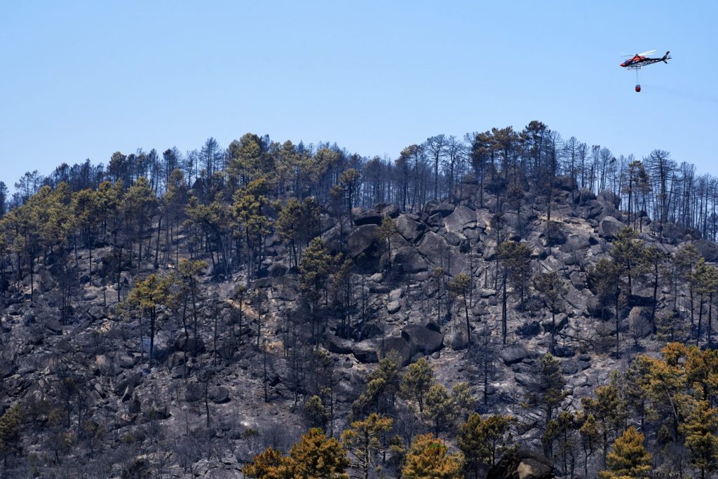 NAVALUENGA (ÁVILA), 26/07/2026.- Paisaje quemado en el Parque Natural del Valle de Iruelas arrasado por el incendio de Burgohondo (Ávila) este domingo. Miles de efectivos trabajan para tratar de controlar el avance de las llamas en los complejos incendios que azotan parte de la Comunidad de Madrid y de la provincia de Ávila, donde el fuego ya ha quemado unas 45.000 hectáreas y ha afectado a más de 115.000 personas, en una jornada en la que el Gobierno ha asumido también la coordinación del siniestro de Almorox (Toledo), mientras otro incendio en la Vall d'Uixò (Castellón) sigue descontrolado y ha obligado a desalojar a unos 15.000 vecinos. EFE/Raúl Sanchidrián