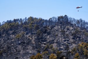 NAVALUENGA (ÁVILA), 26/07/2026.- Paisaje quemado en el Parque Natural del Valle de Iruelas arrasado por el incendio de Burgohondo (Ávila) este domingo. Miles de efectivos trabajan para tratar de controlar el avance de las llamas en los complejos incendios que azotan parte de la Comunidad de Madrid y de la provincia de Ávila, donde el fuego ya ha quemado unas 45.000 hectáreas y ha afectado a más de 115.000 personas, en una jornada en la que el Gobierno ha asumido también la coordinación del siniestro de Almorox (Toledo), mientras otro incendio en la Vall d'Uixò (Castellón) sigue descontrolado y ha obligado a desalojar a unos 15.000 vecinos. EFE/Raúl Sanchidrián