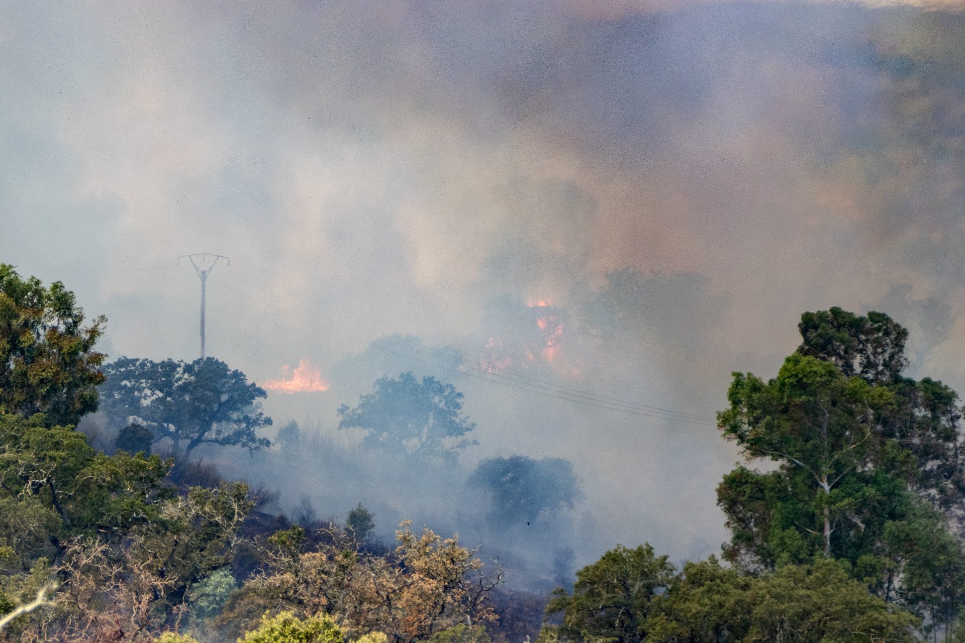 EL CERRO DEL ANDÉVALO (HUELVA), 22/07/2026.- Incendio que se desató anoche martes en El Cerro del Andévalo (Huelva) en un terreno de dehesa con mucha población de eucaliptos, encinas y matorral, lo que favorece la propagación de las llamas y dificulta las labores de apagado. EFE/ David Arjona