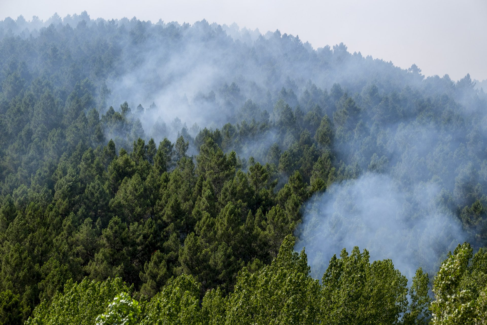 GRAF9113-ESPANA-INCENDIOS-FORESTALES.jpg
