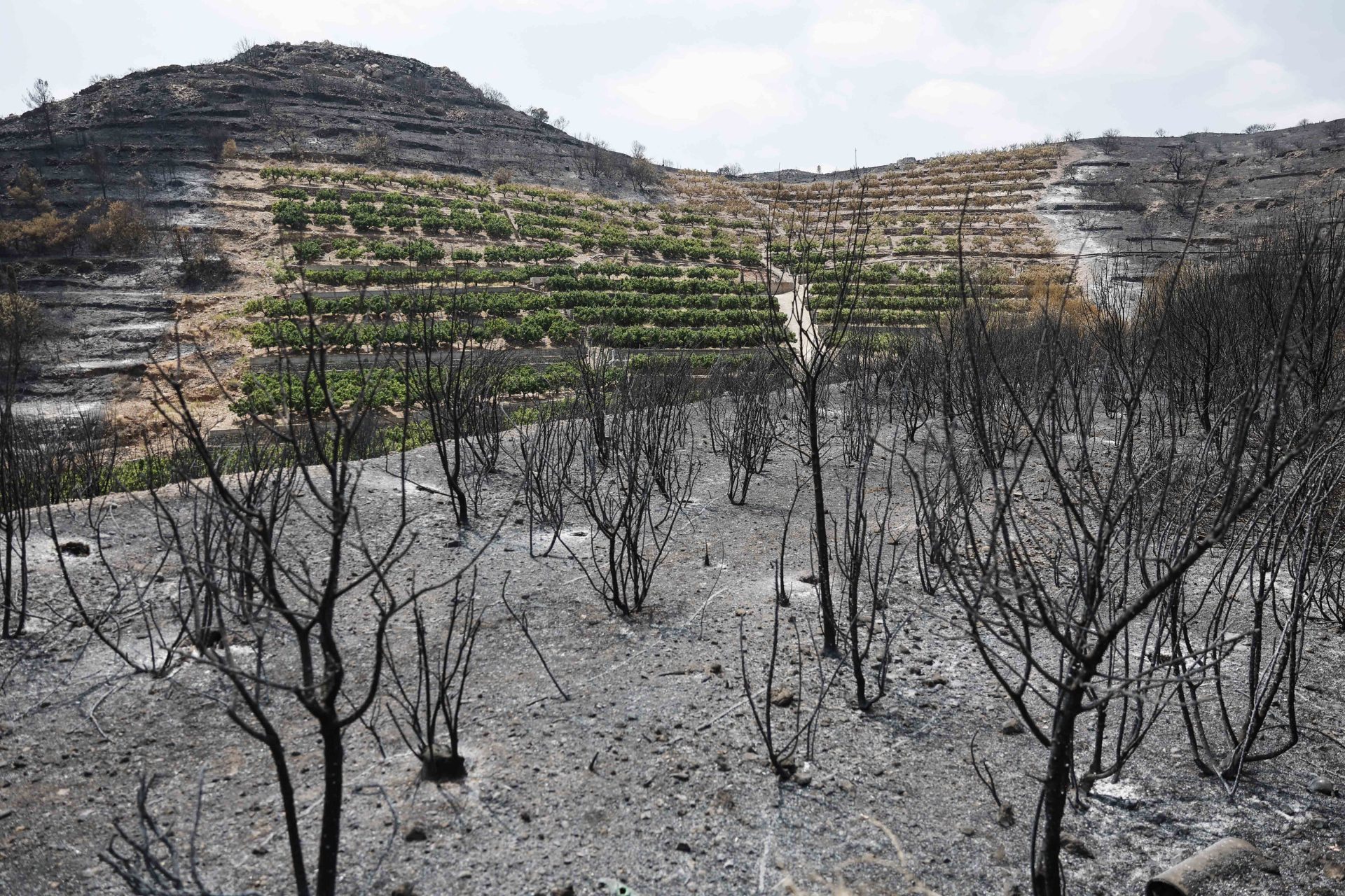 GRAFCVA5372. LA VILAVELLA (CASTELLÓN), 31/07/2026.- Paisaje quemado en la Vilavella (Castellón), uno de los municipios afectados por el incendio declarado el pasado sábado en La Vall d'Uixó (Castellón) que sigue sin estabilizar tras siete días activo, aunque el objetivo es conseguirlo este viernes y si no mañana, y mantiene evacuadas a 2.800 personas, tras haberse permitido hoy que vuelvan 2.400 vecinos, todos los que seguían evacuados menos los de Artana y Eslida. EFE/Kai Försterling