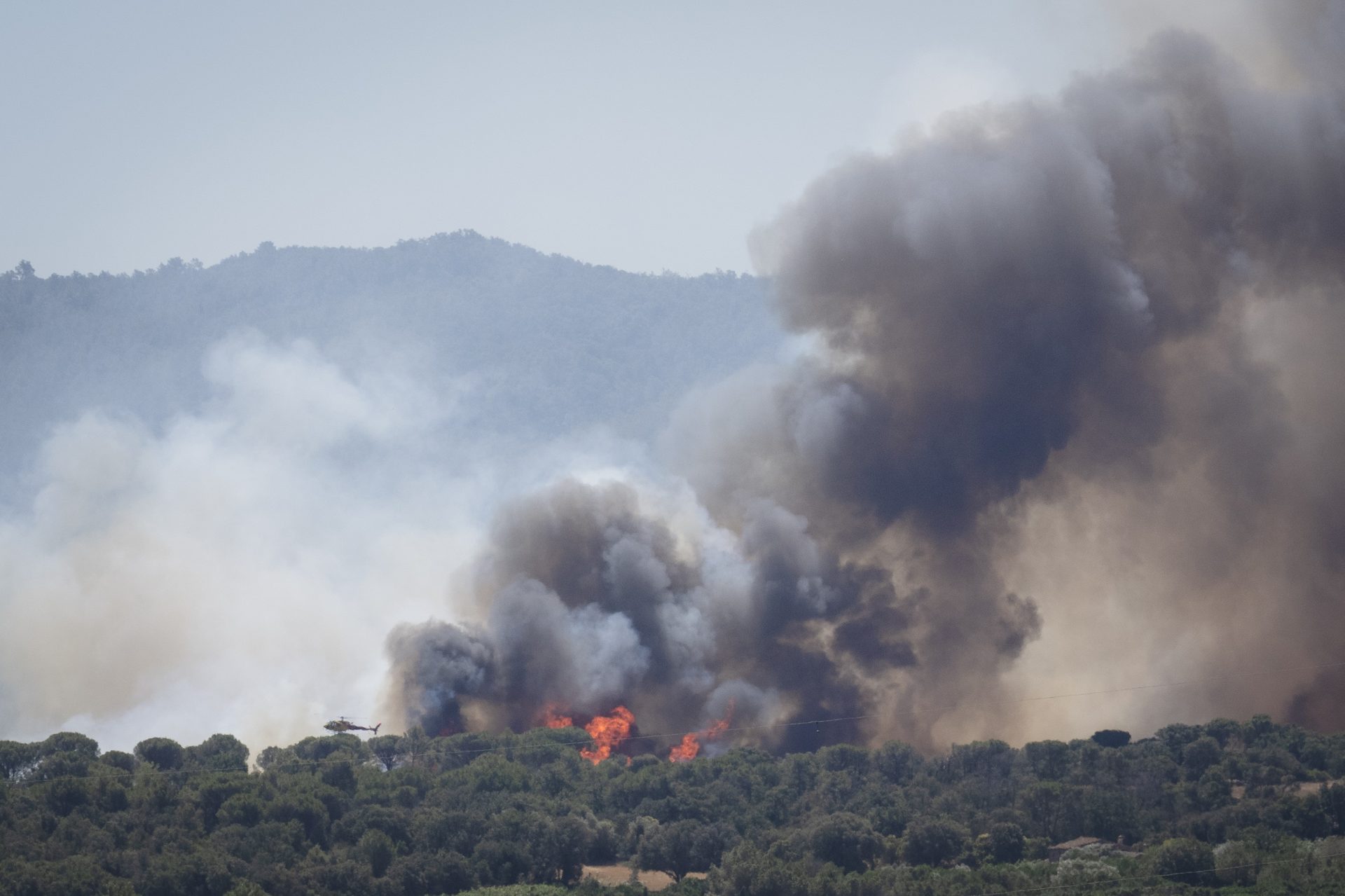 INCENDIOS-FORESTALES-03072026.jpeg