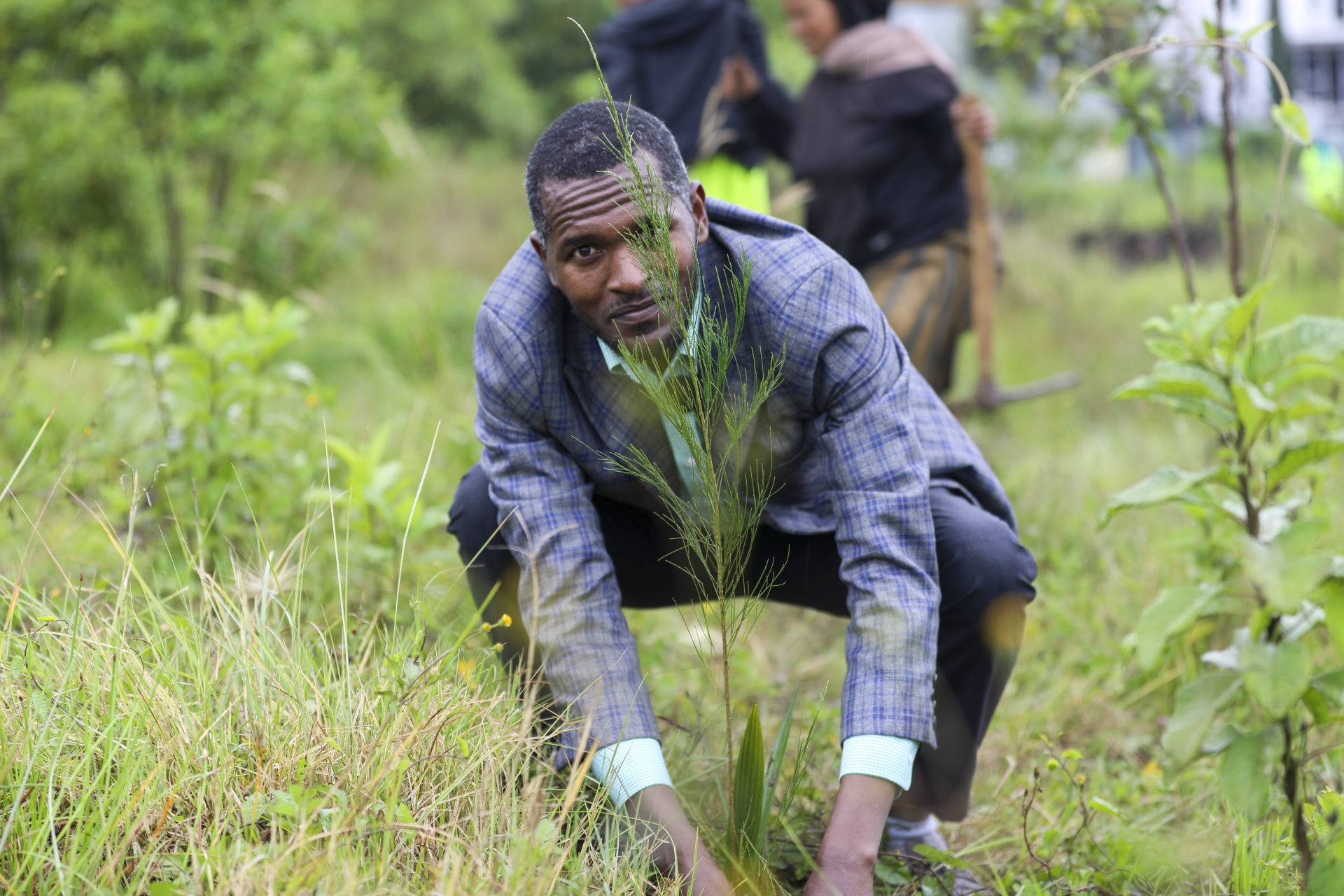 ADÍS ABEBA, 03/08/2026.- Un participante planta árboles verdes locales como parte de la iniciativa del legado de Etiopía, cuyo objetivo es plantar 8 mil millones para fin de año como parte de los esfuerzos para luchar contra el cambio climático, en el Sammit Figa de Adís Abeba, Etiopía. EFE/ Simon Berhane