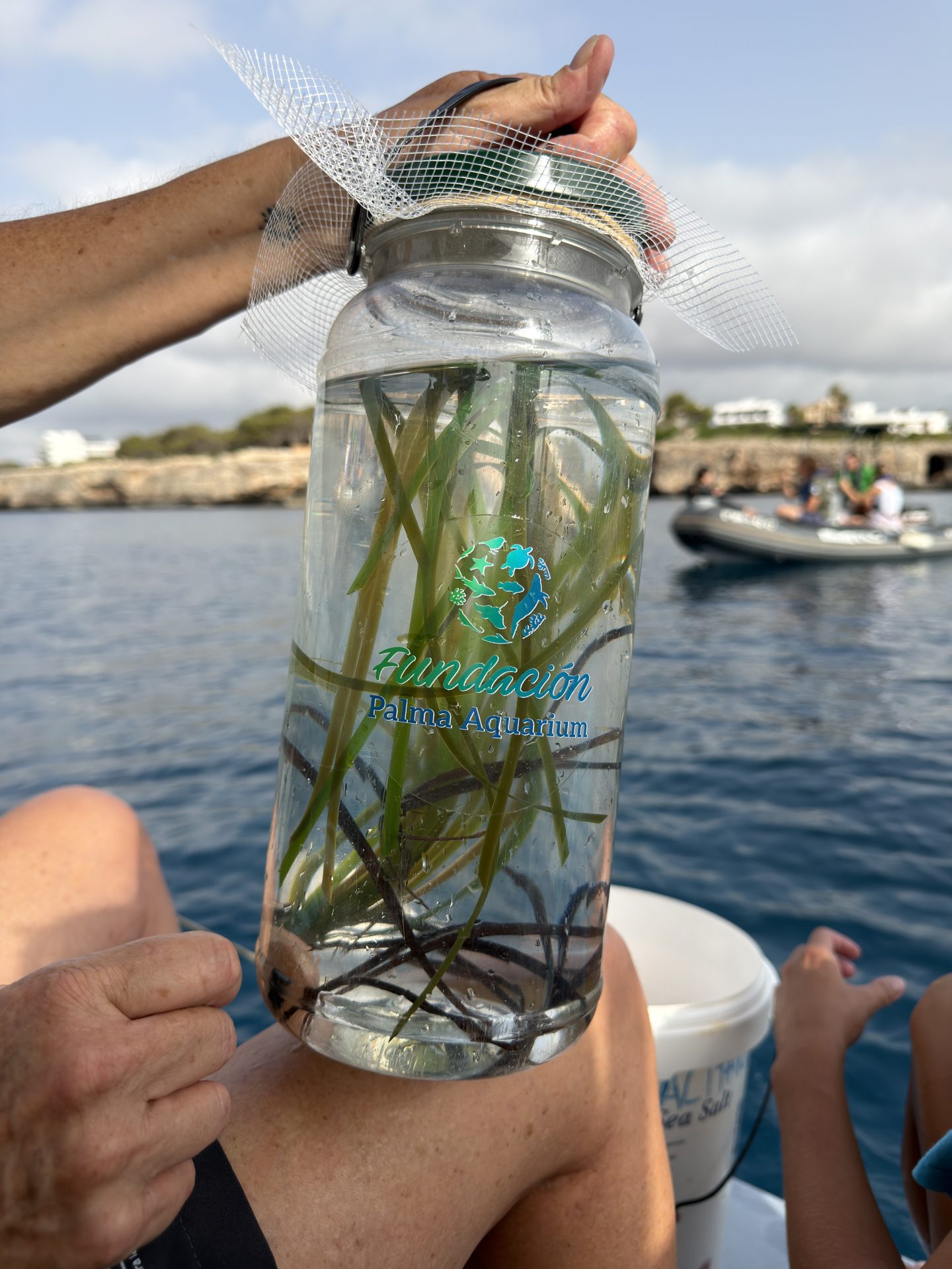 La Fundación Palma Aquarium ha liberado 55 juveniles de peces pipa en el mar en Baleares en el marco de un proyecto de conservación de esta especie. Los peces, de la especie Syngnathus typhle, habían nacido en las instalaciones del acuario palmesano, en un nuevo avance del proyecto desarrollado junto a Marilles Foundation y con el apoyo de TUI Care Foundation, ha informado la fundación este lunes en un nota. EFE/Palma Aquarium/SOLO USO EDITORIAL/SOLO DISPONIBLE PARA ILUSTRAR LA NOTICIA QUE ACOMPAÑA (CRÉDITO OBLIGATORIO)  