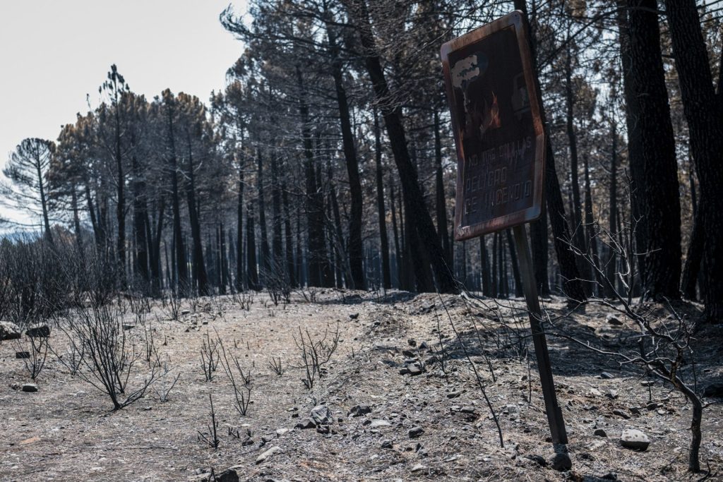 LA MIERLA (GUADALAJARA), 30/07/2026.- Bosque calcinado por el fuego. Dos semanas después de declararse el incendio forestal en La Mierla (Guadalajara), que ha afectado a unas 32.000 hectáreas en gran parte del Parque Natural Sierra Norte, las administraciones comienzan a aprobar ayudas para la recuperación de la zona mientras que los servicios de extinción siguen trabajando en el terreno para evitar que se reavive. EFE/ Nacho Izquierdo