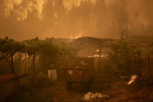 CARBALLEDA DE AVIA (OURENSE), 17/08/2025.- Vista del incendio forestal de Carballeda de Avia (Ourense) este domingo. La ola de incendios que afecta al noroeste de España no da tregua este domingo. Tras una semana de incendios que han causado tres muertos, miles de hectáreas quemadas y miles de desalojados por las llamas, el país se encuentra devastao. En la región de Galicia ardieron ya 50.000 hectáreas y en la de Castilla y León 3.500 personas permanecían fuera de sus hogares. EFE/ Brais Lorenzo