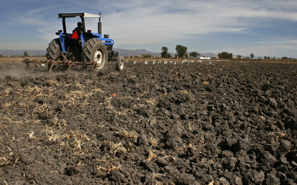 MEX01. GUANAJUATO (MÉXICO), 26/05/08.- Un campesino conduce un tractor hoy, 26 de mayo de 2008, en el municipio de Manuel Doblado en el estado mexicano de Guanajuato, en visperas de la temporada de lluvias. El presidente de México, Felipe Calderón, dio a conocer ayer un plan de emergencia de apoyo a familias para enfrentar el impacto de la crisis alimentaria mundial. Entre los puntos importantes, se contemplan los respaldos a los productores agrícolas para que tengan acceso a fertilizantes y buscar que no queden campesinos sin sembrar su tierra.EFE/Leopoldo Smith