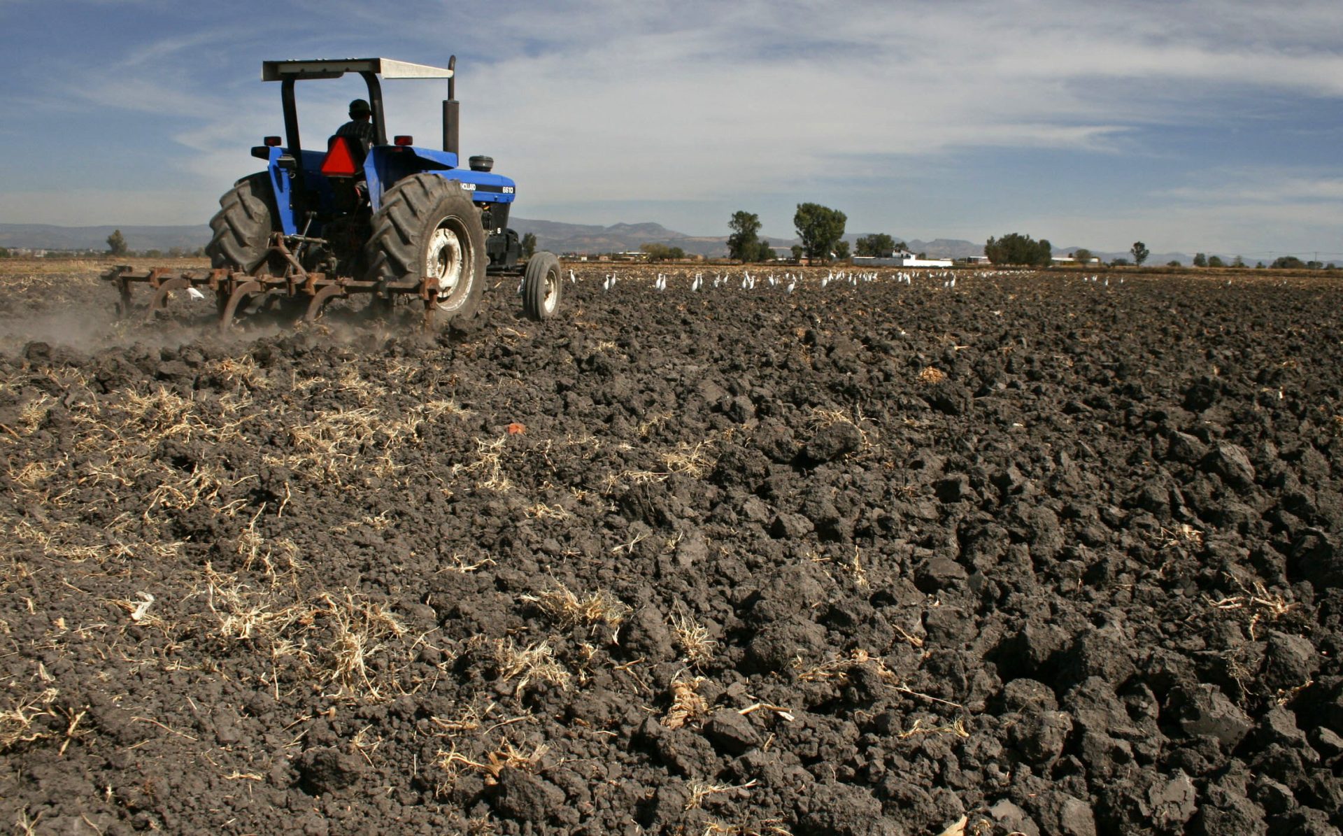 MEX01. GUANAJUATO (MÉXICO), 26/05/08.- Un campesino conduce un tractor hoy, 26 de mayo de 2008, en el municipio de Manuel Doblado en el estado mexicano de Guanajuato, en visperas de la temporada de lluvias. El presidente de México, Felipe Calderón, dio a conocer ayer un plan de emergencia de apoyo a familias para enfrentar el impacto de la crisis alimentaria mundial. Entre los puntos importantes, se contemplan los respaldos a los productores agrícolas para que tengan acceso a fertilizantes y buscar que no queden campesinos sin sembrar su tierra.EFE/Leopoldo Smith