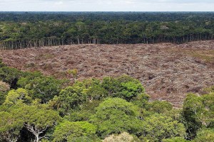 Fotografía de archivo del 28 de noviembre de 2013 de arboles talados en la selva amazónica (Brasil). Brasil perdió el 33 % de sus áreas naturales hasta 2023 y la Amazonía brasileña ha sido el bioma más afectado en el país, según un estudio divulgado este miércoles por la plataforma científica Mapbiomas. EFE/ Marcelo Sayão ARCHIVO